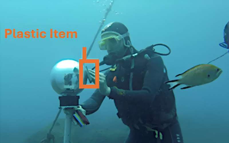AI making waves in marine data collection