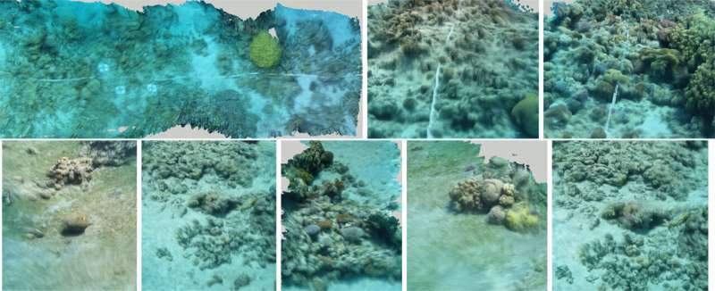 AI-powered system maps corals in 3D in record time