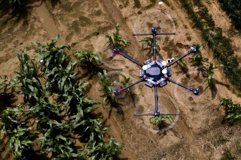 AI shows how field crops develop