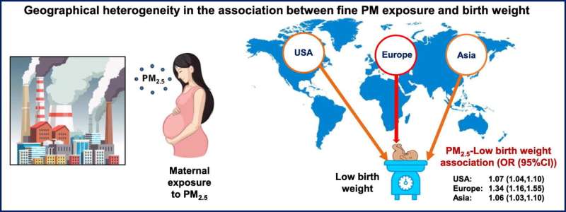 Air pollution during pregnancy linked to low birth weight, study finds