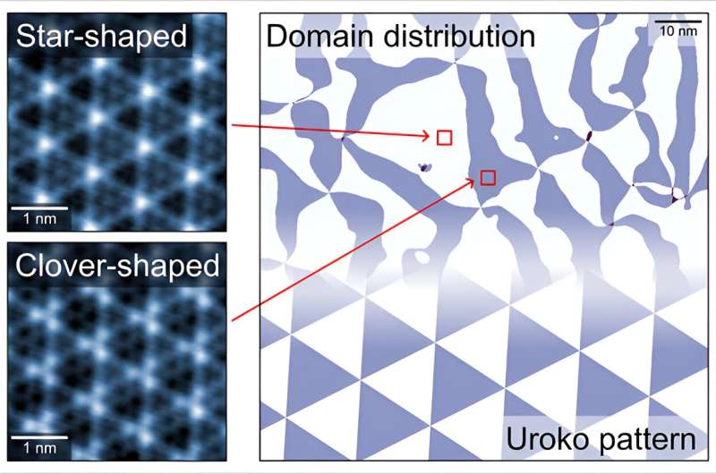 Alternating triangular charge density wave domains observed within a layered superconducting compound