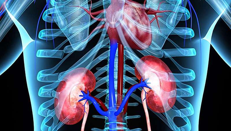 Amino acids reduced acute kidney injury after cardiac surgery