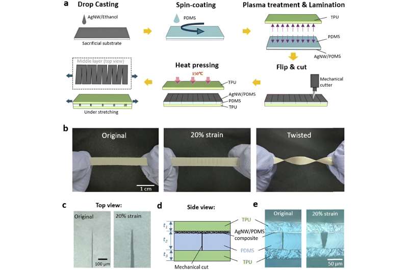 'Amphibious' sensors make new, waterproof technologies possible