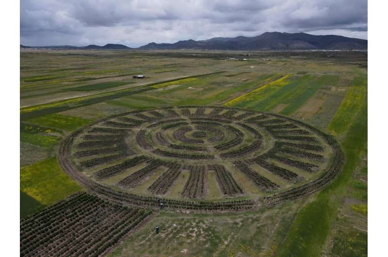 An aerial view shows a pre-Hispanic agricultural system called Waru Waru, in a field in the Acora district in Puno, Peru, on February 6, 2024