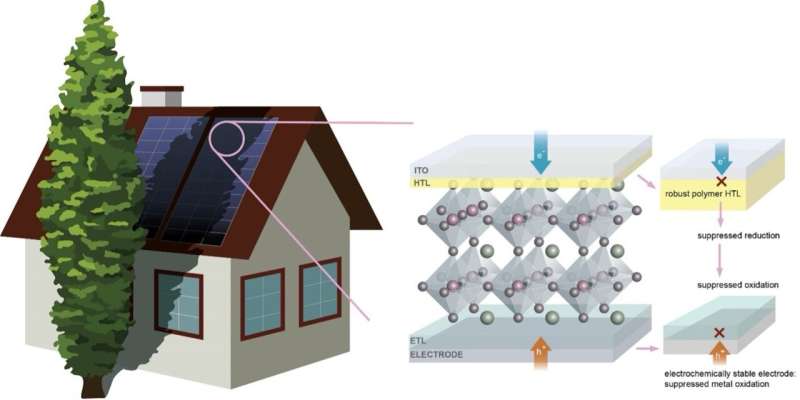 An approach to improve the stability of perovskite solar cells under reverse bias conditions