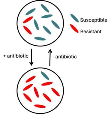 An insidious form of antibiotic resistance