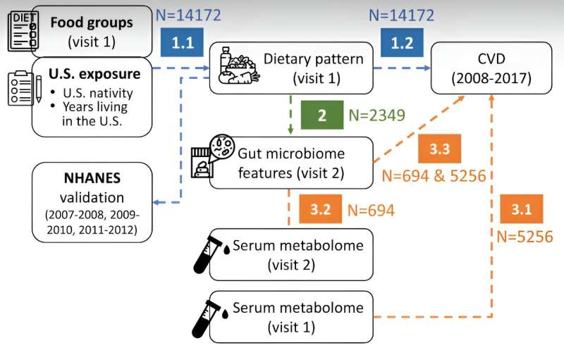 Analyzing the effects of dietary acculturation on heart health