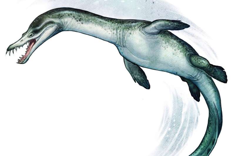 Ancient polar sea reptile fossil is oldest ever found in Southern Hemisphere