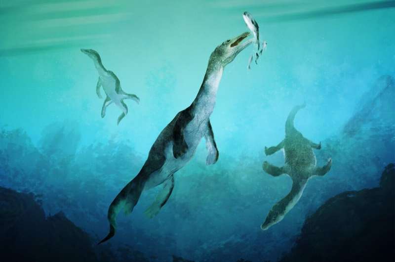 Ancient polar sea reptile fossil is oldest ever found in Southern Hemisphere