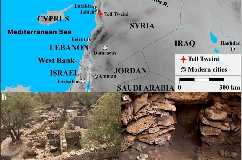 Ancient Syrian diets resembled the modern