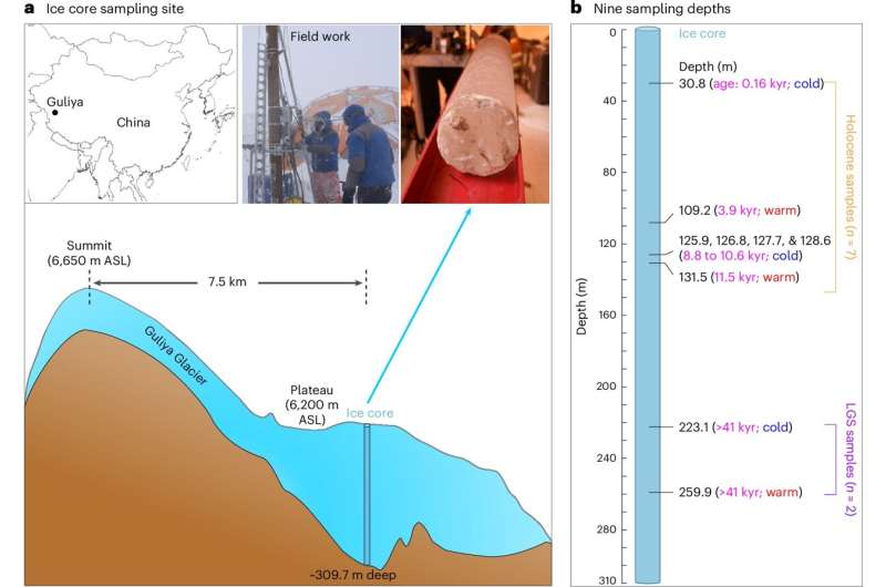 In Gletschern konservierte alte Virusgenome enthüllen die Klimageschichte und wie sich Viren an den Klimawandel anpassen