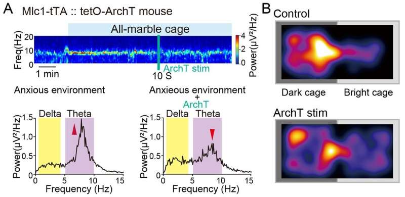 Anxiety control by astrocytes in the lateral habenula