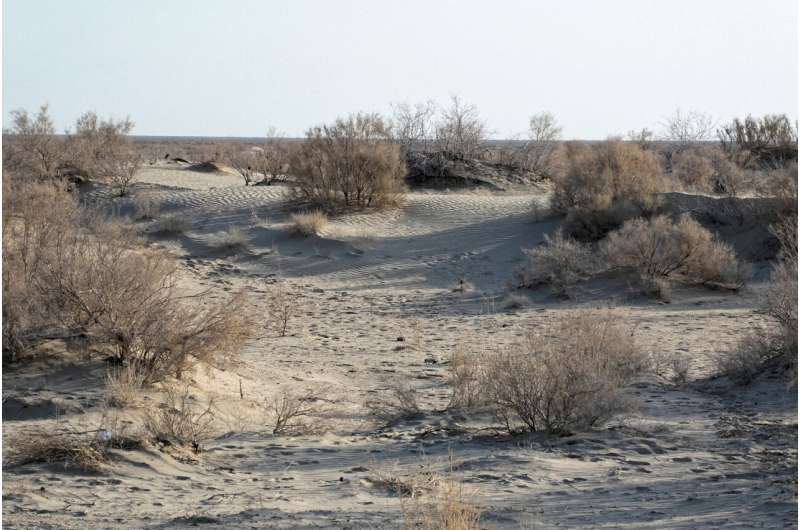 Aral Sea has made Central Asia significantly dustier