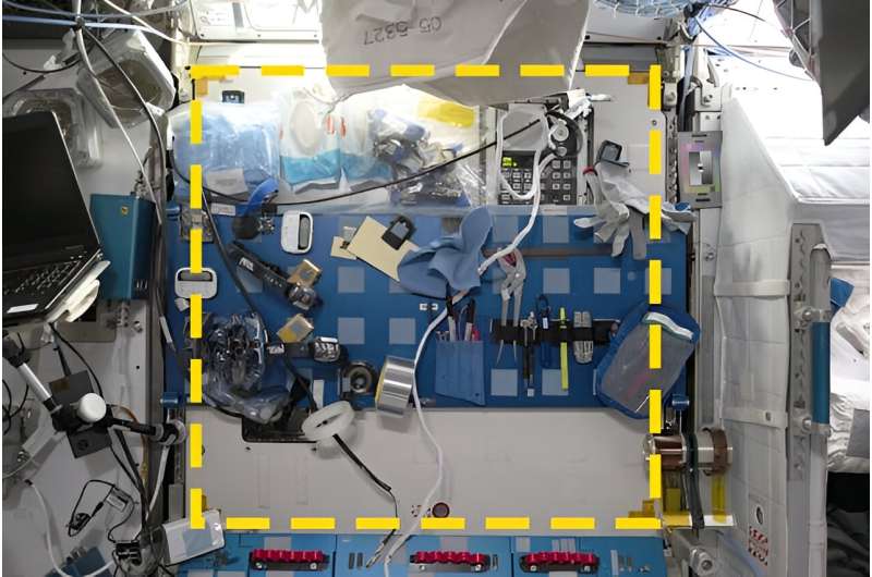 Archäologen führen die erste „Weltraumgrabung“ auf der ISS durch und entdecken überraschende Merkmale des Lebens in der Schwerelosigkeit