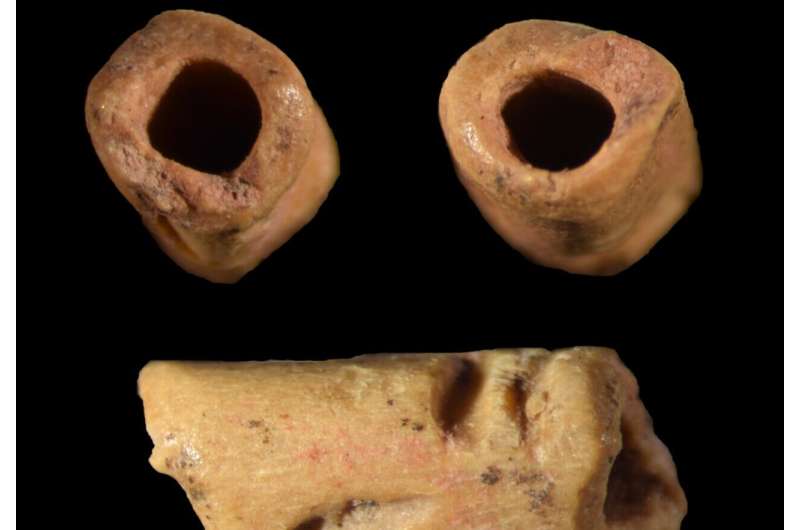 Archaeologists discover oldest known bead in the Americas