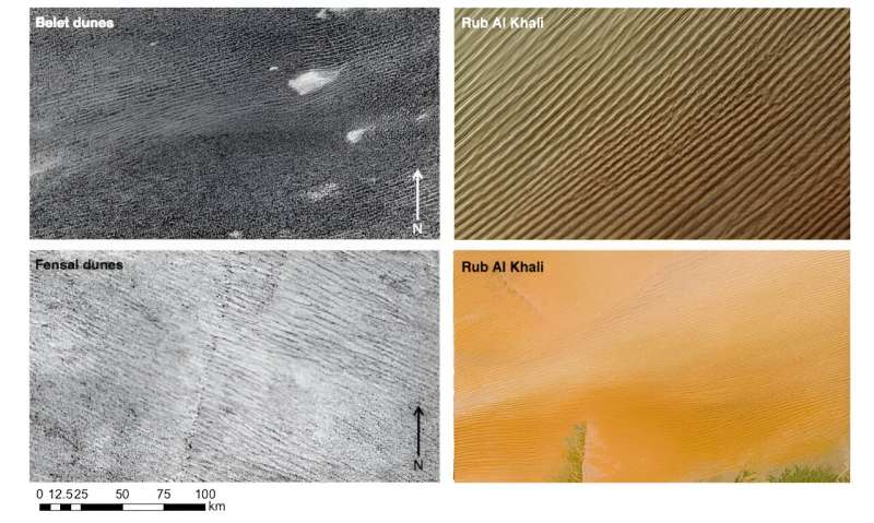 Are Titan's dunes made of comet dust?