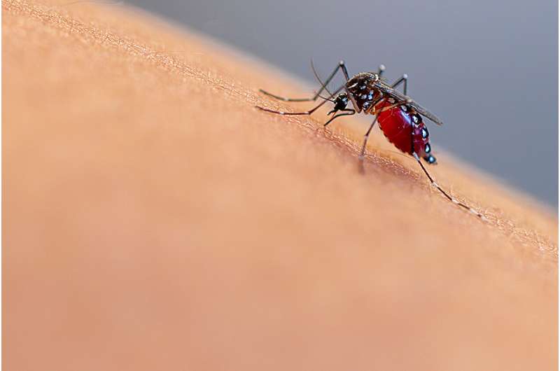 Are you a mosquito magnet? Science says you might be