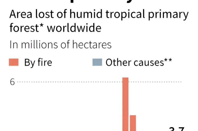 Around 3.7 million hectares of primary tropical forest -- an area almost the size of Switzerland -- was lost around the world in 2023, according to the World Resources Institute and the University of Maryland.