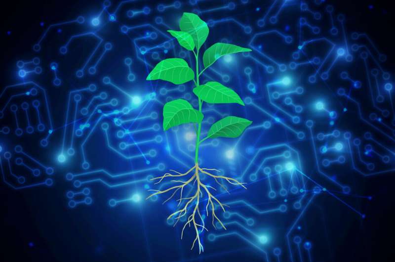 Artificial intelligence helps scientists engineer plants to fight climate change