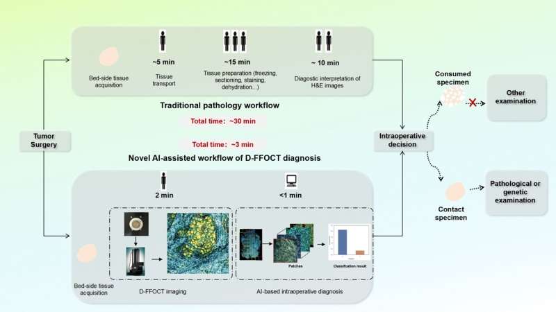 Artificial intelligence algorithms and optical imaging technology: A promising approach to intraoperative cancer diagnosis