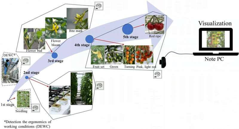 Artificial intelligence assisted tomato plant monitoring system