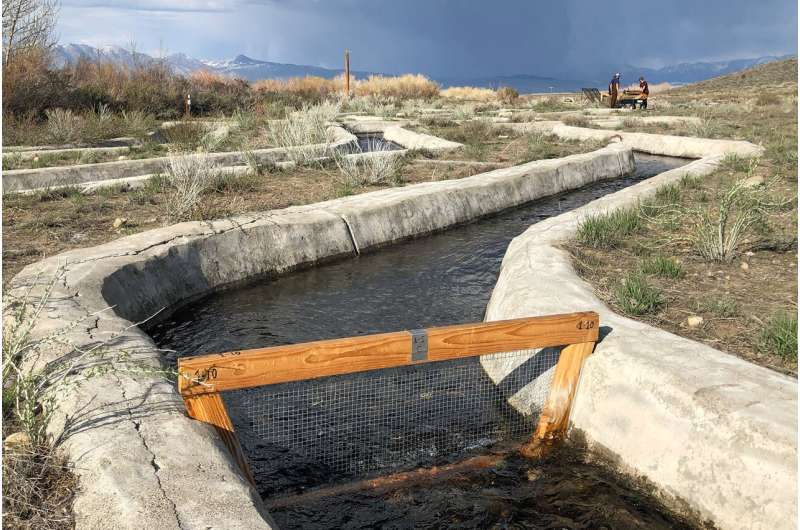 Artificial streams reveal how drought shapes California's alpine ecosystems