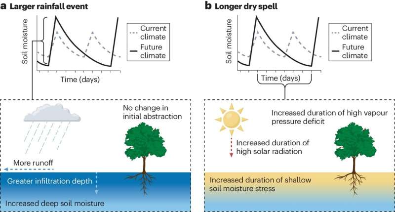 As climate change progresses, new rainfall patterns affect plants worldwide