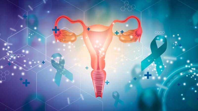 ASCO: conjugated equine estrogen may increase risk for ovarian cancer