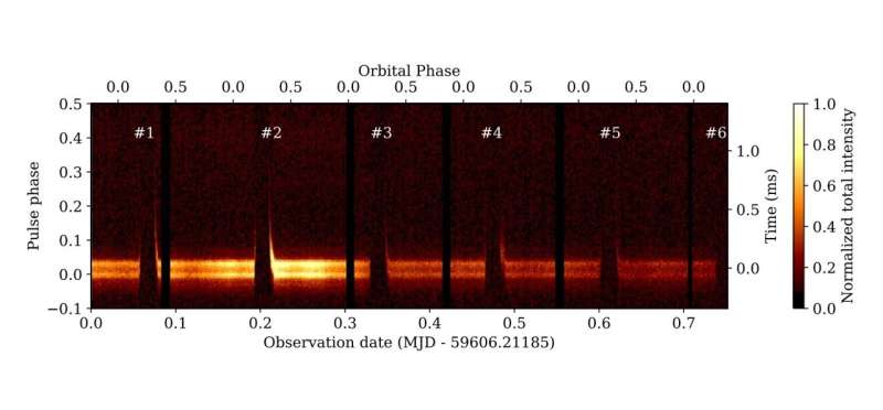 Astronomers observe eclipses of pulsar PSR J0024−7204O