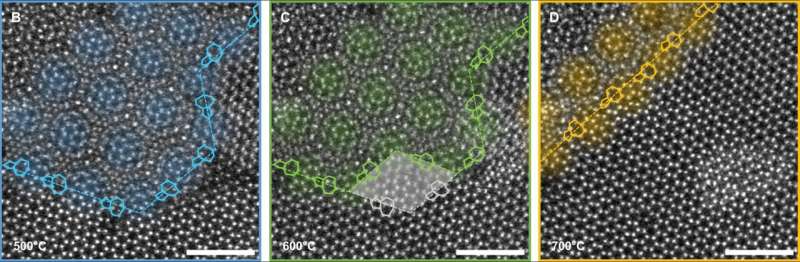 Atom-by-atom: Imaging structural transformations in 2D materials