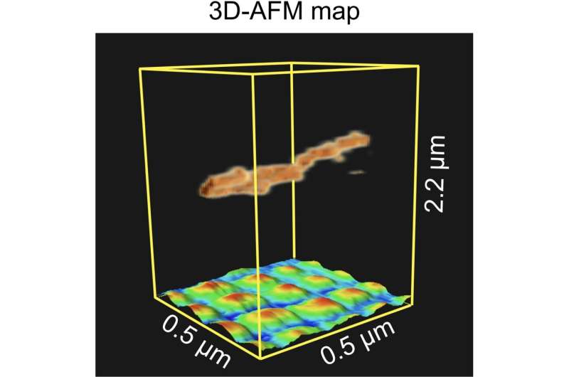 Atomic force microscopy in 3D