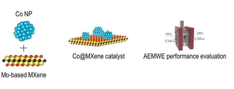 Atomically controlled MXenes enable cost-effective green hydrogen production