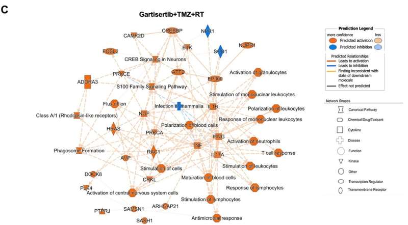 ATR inhibition using gartisertib in patient-derived glioblastoma cell lines