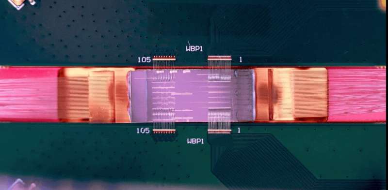 Australia just made a billion-dollar bet on building the world's first 'useful' quantum computer