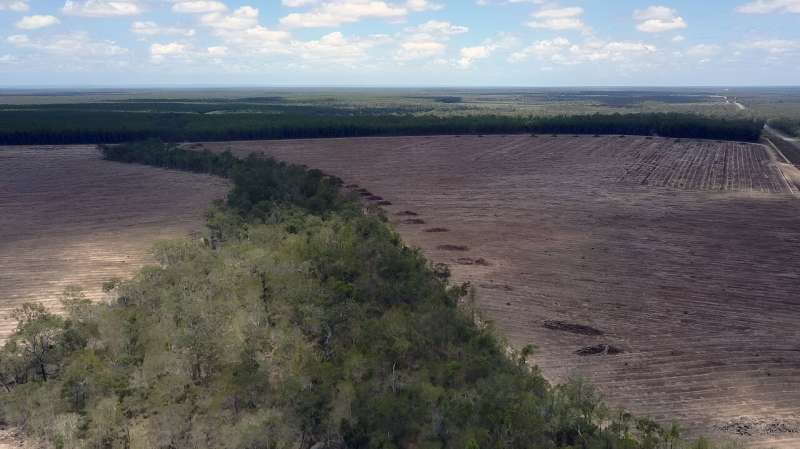 Australia's nature is in deep crisis. These 3 simple steps would give our new environmental laws a boost