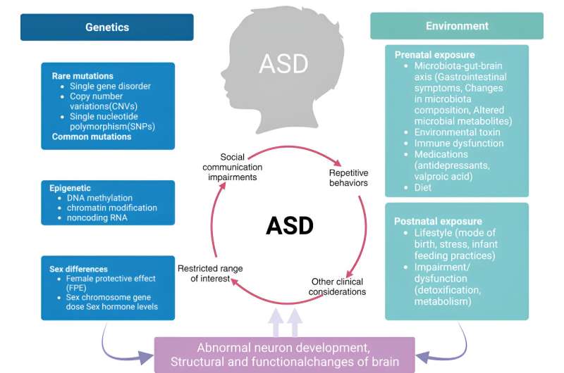 Autism spectrum disorder: Pathogenesis, biomarker, and intervention therapy