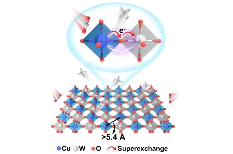 B-site rock-salt-ordered Cu-based double perovskite realizes high efficiency and stable CO&#8322 electroreduction