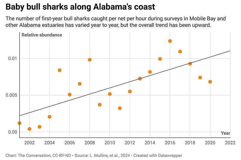 Baby bull sharks are thriving in Texas and Alabama bays as the Gulf of Mexico warms