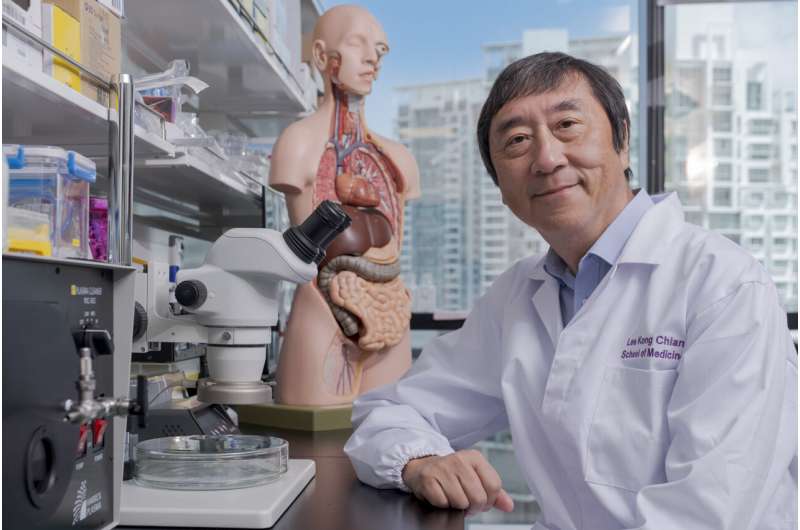 Bacteria commonly found in the body contribute to stomach cancer, finds study co-led by NTU Singapore 