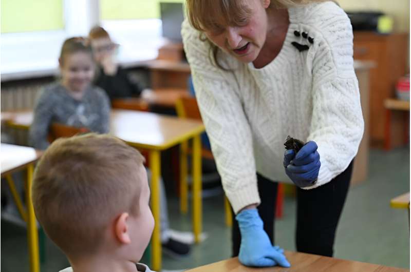Barbara Gorecka presents a bat to a class in Szczecin, Poland