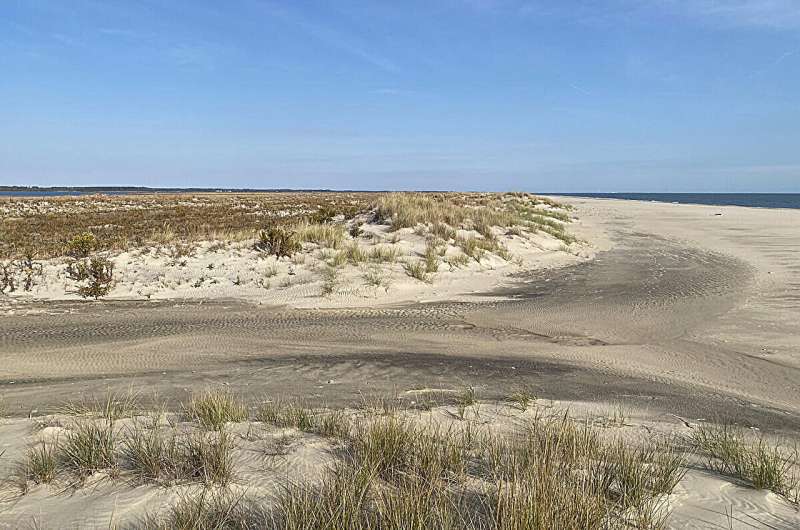 Barrier islands and dunes protect our coastline – but how are environmental changes affecting them and adjacent land?