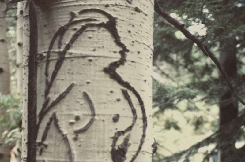 Basque immigrant sheepherders left their marks on aspen trees in the American West