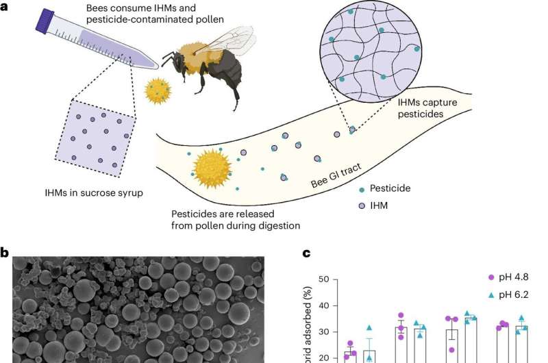 Bee antidote to deadly pesticides shows promise