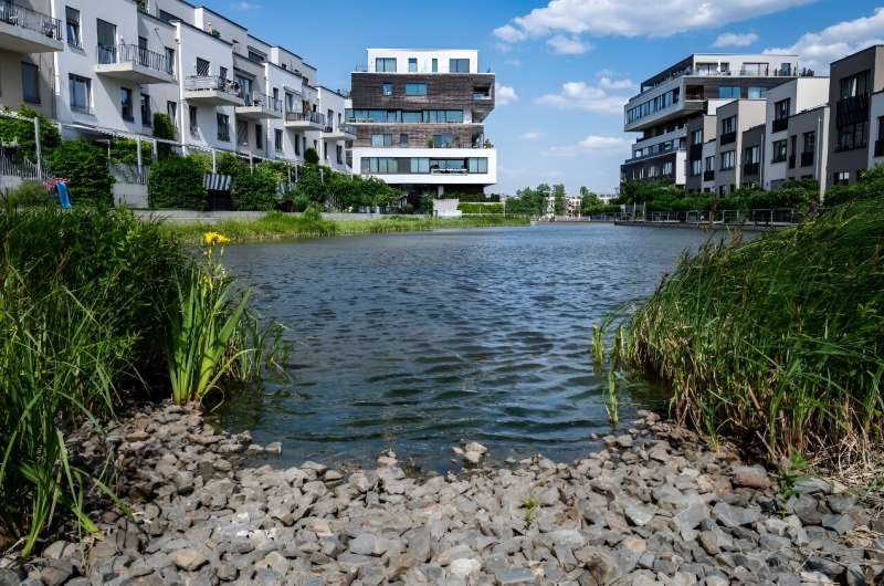 Berlin has gone from trying to keep its groundwater from overflowing to one scrambling to keep its forests green
