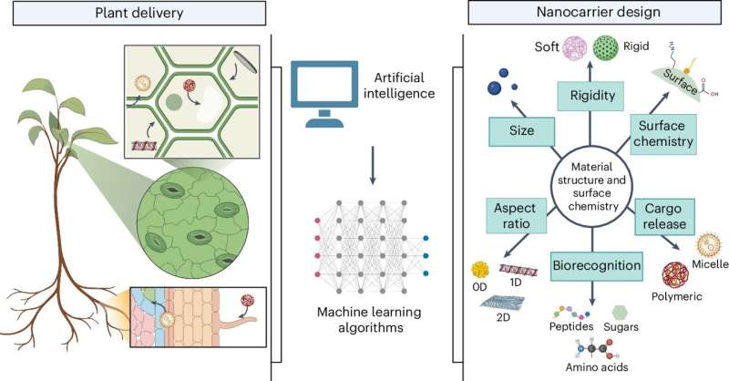 Better farming through nanotechnology: An argument for applying medical insights to agriculture