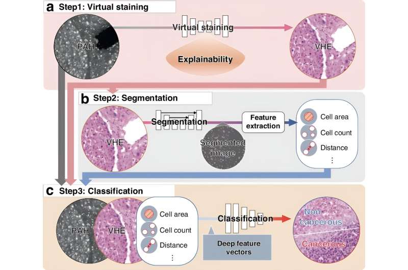 Beyond Conventional Pathology, Label-free Histology Meets AI