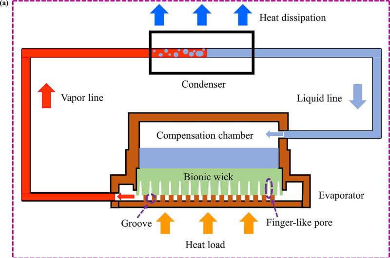 Bio-inspired wick enhances electronic chip cooling