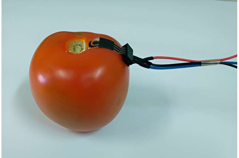 Biodegradable sensor monitors levels of pesticides via direct contact with surface of fruit and vegetables