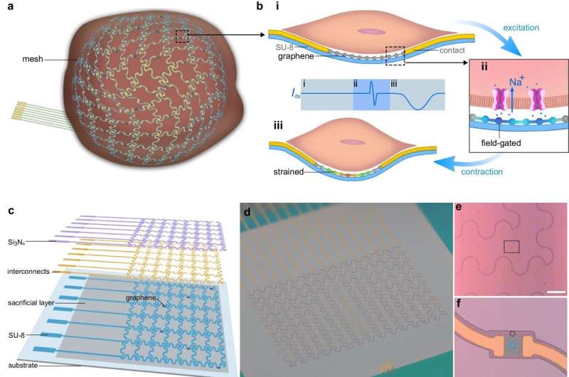 Bioelectronic Mesh Capable of Growing with Cardiac Tissues for Comprehensive Heart Monitoring