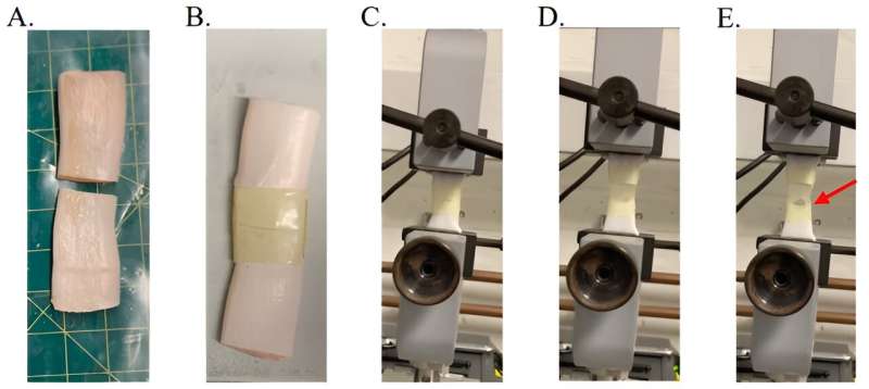 Bioengineers develop a new environmentally friendly adhesive polymer